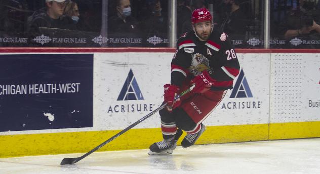Grand Rapids Griffins defenseman Luke Witkowski