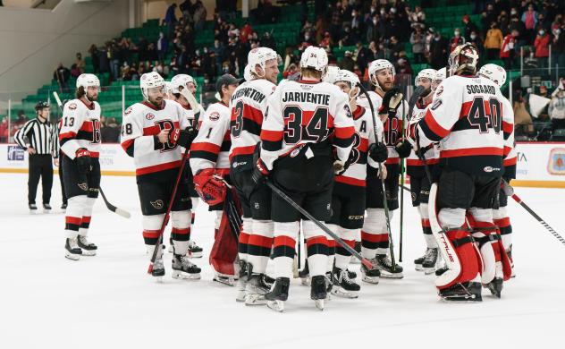 Belleville Senators celebrate a goal against the Hershey Bears