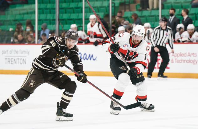 Belleville Senators right wing Egor Sokolov vs. the Hershey Bears