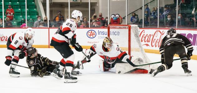 Belleville Senators goaltender Mads Sogaard vs. the Hershey Bears