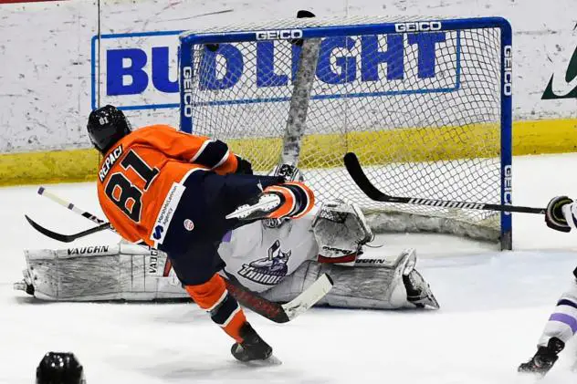 Anthony Repaci of the Worcester Railers HC scores against the Adirondack Thunder