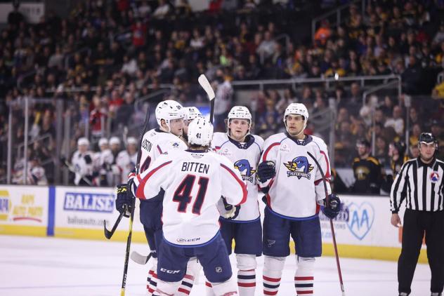 Springfield Thunderbirds gather following a goal