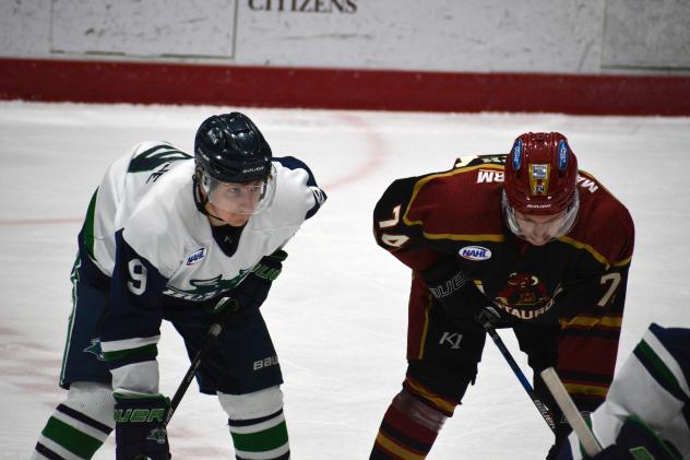 North Iowa Bulls Carter Rapalje (left) lines up for a faceoff against Minotauros Colby Joseph