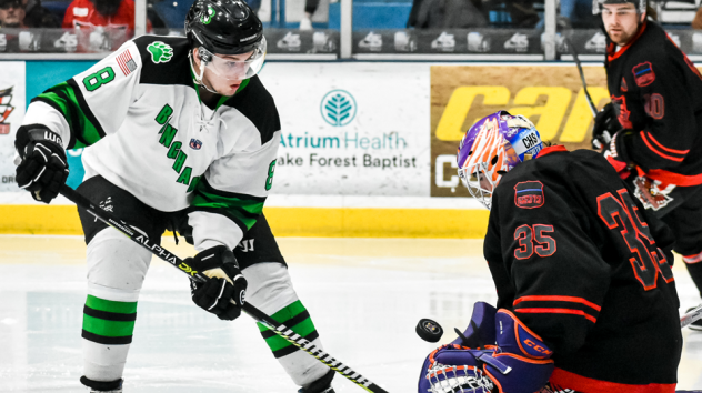 Binghamton Black Bears forward Nikita Ivashkin vs. the Carolina Thunderbirds