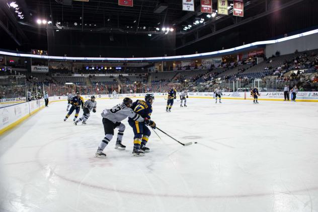 Rapid City Rush take on the Atlanta Gladiators