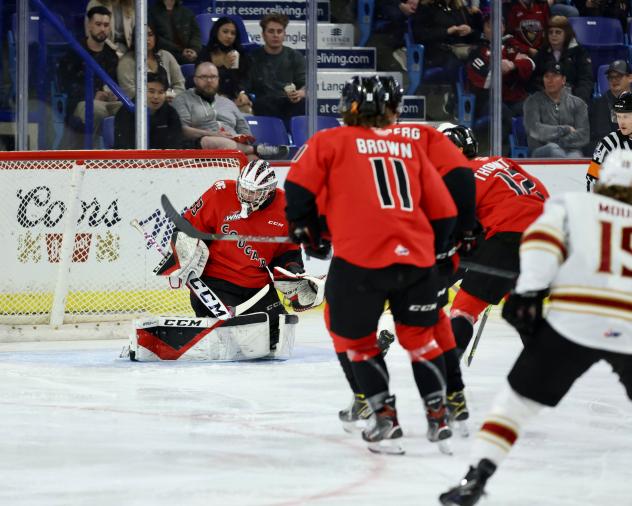 Prince George Cougars goaltender Ty Young vs. the Vancouver Giants