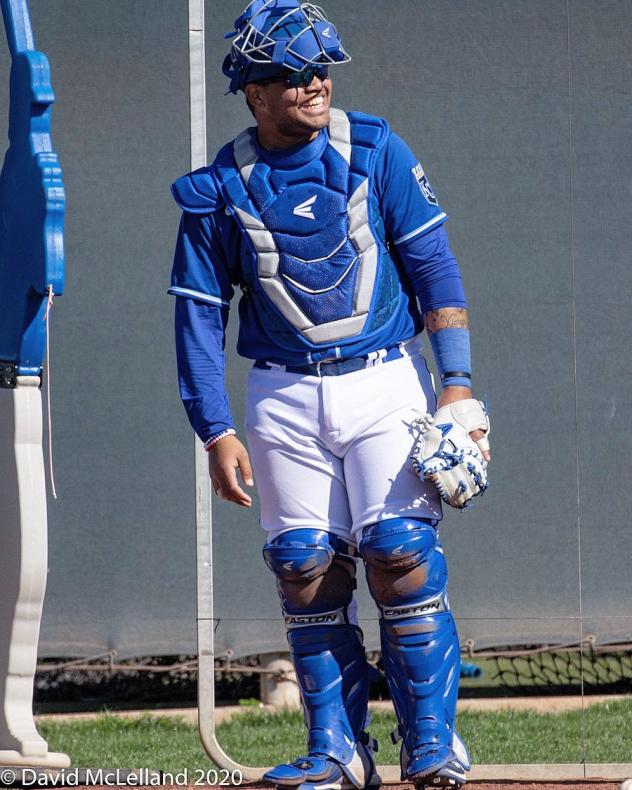 York Revolution catcher Paul Mondesi