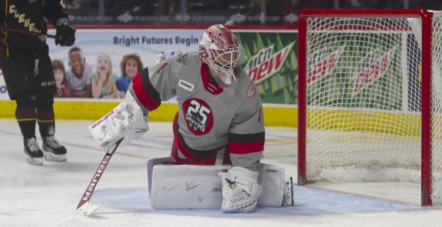 Grand Rapids Griffins goaltender Victor Brattstrom