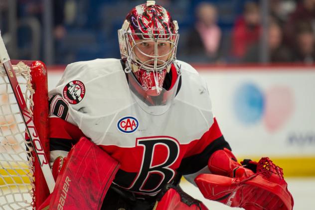 Belleville Senators goaltender Filip Gustavsson
