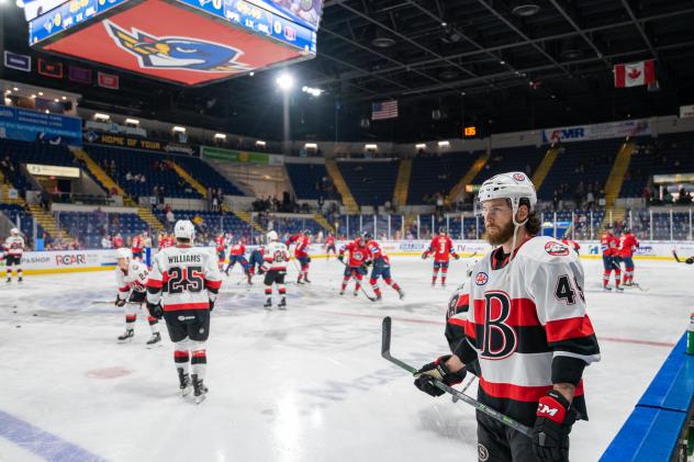 Belleville Senators right wing Scott Sabourin surveys the ice