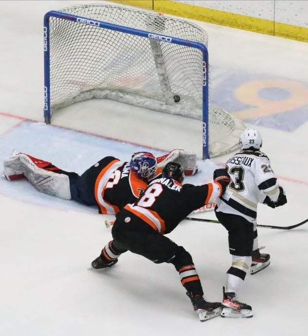 Cédric Desruisseaux of the Wheeling Nailers scores against the Fort Wayne Komets