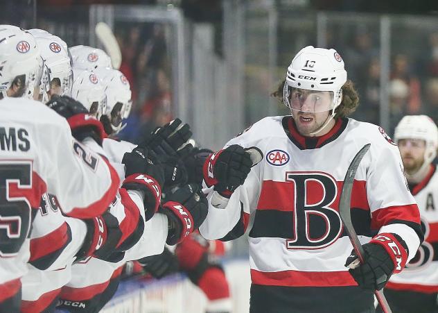 Belleville Senators exchange congratulations along the bench