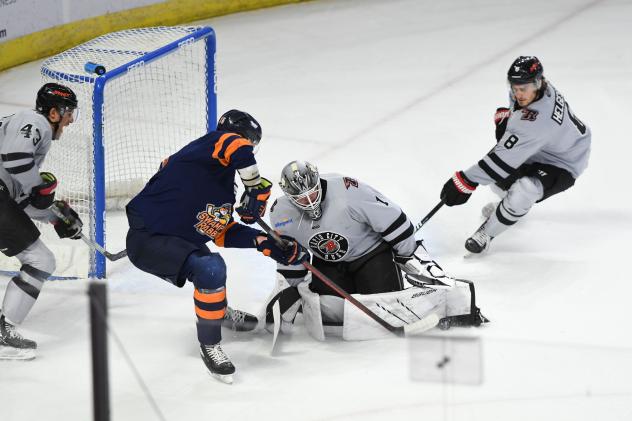 Rapid City Rush goaltender Lukas Parik vs. the Greenville Swamp Rabbits