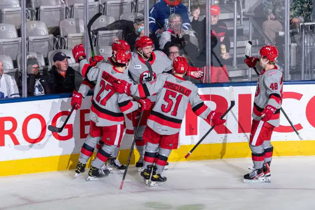 Grand Rapids Griffins gather after a goal against the Toronto Marlies