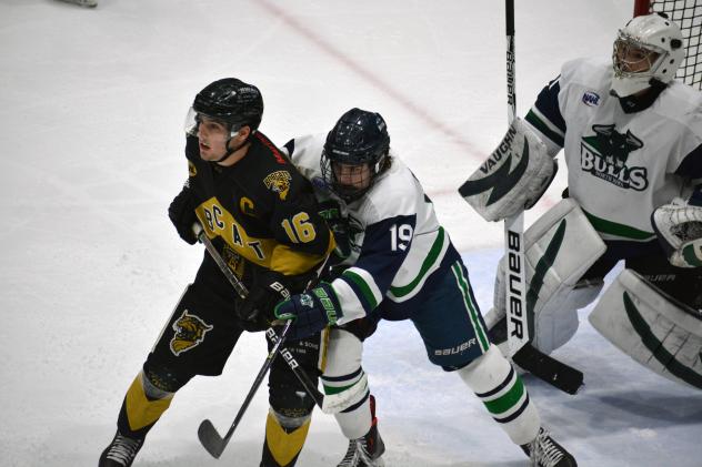 North Iowa Bulls' Michael Mesic (19) jostles with Bismarck's Patrick Johnson for position