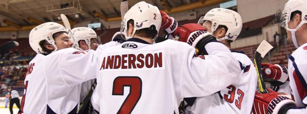 South Carolina Stingrays celebrate a goal