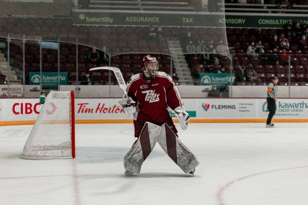 Peterborough Petes goaltender Michael Simpson