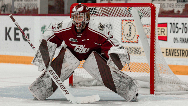 Peterborough Petes goaltender Michael Simpson