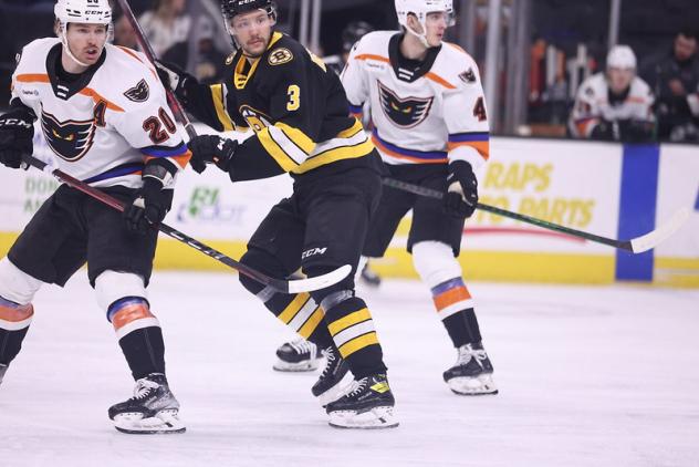 Lehigh Valley Phantoms vs. the Providence Bruins
