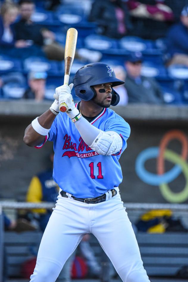 Luis Aviles Jr. at bat for the Pensacola Blue Wahoos
