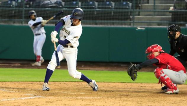 Tri-City Dust Devils catcher Christian Molfetta
