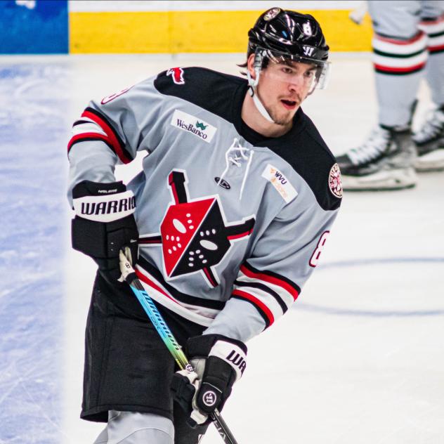 Wheeling Nailers defenseman David Drake