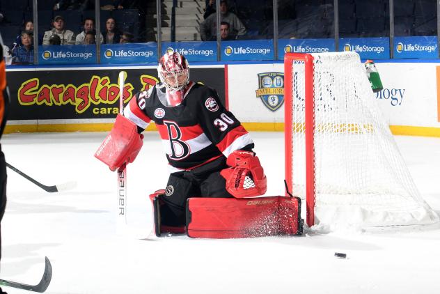 Belleville Senators goaltender Filip Gustavsson