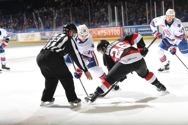 Belleville Senators center Andrew Agozzino faces off with the Rochester Americans