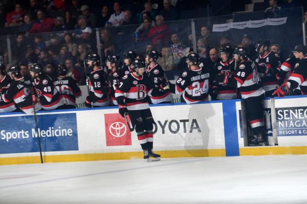 Belleville Senators left wing Viktor Lodin exchanges congratulations along the bench