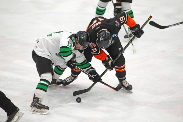 Danbury Hat Tricks battle the Binghamton Black Bears