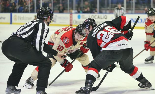 Belleville Senators centre Andrew Agozzino faces off with the Utica Comets