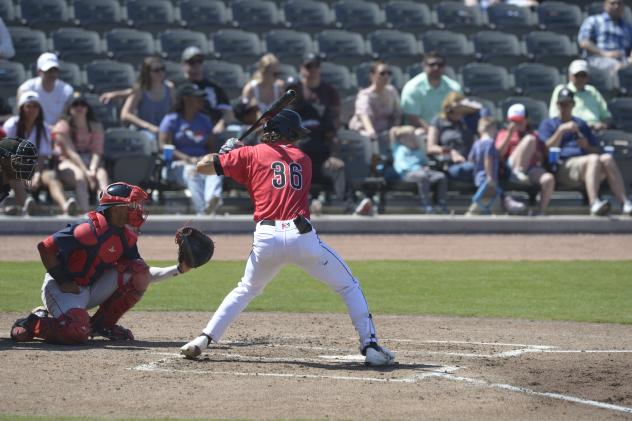 Fayetteville Woodpeckers outfielder Joey Loperfido at the plate