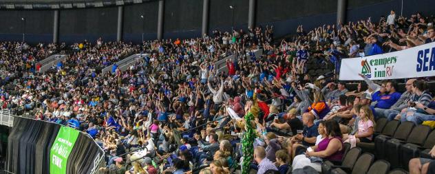 The crowd at a Jacksonville Icemen game