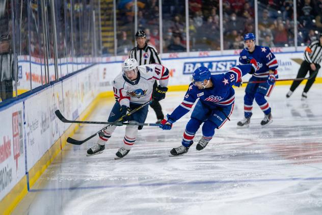 Springfield Thunderbirds right wing Will Bitten along the boards against the Rochester Americans