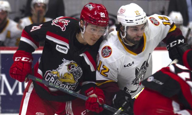 Grand Rapids Griffins left wing Dennis Yan (left) vs. the Chicago Wolves