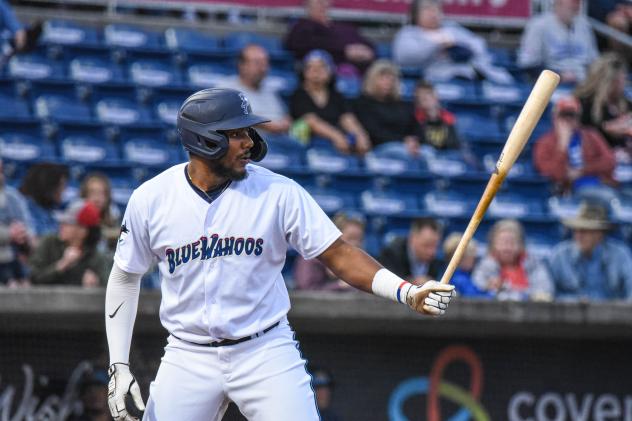 Jerar Encarnacion at bat for the Pensacola Blue Wahoos