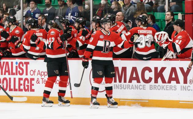 Belleville Senators exchange high fives along the bench
