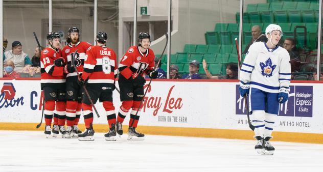 Belleville Senators huddle after a goal against the Toronto Marlies