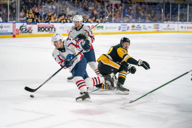 Springfield Thunderbirds control the puck
