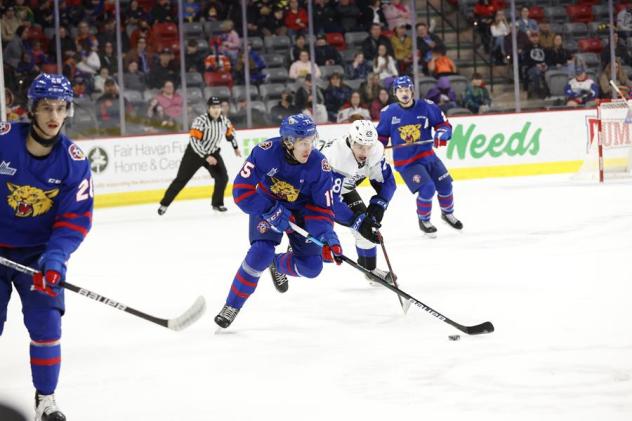 Saint John Sea Dogs battle the Moncton Wildcats
