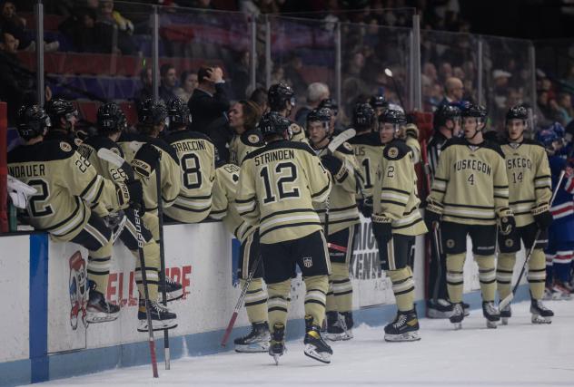 Muskegon Lumberjacks along the bench