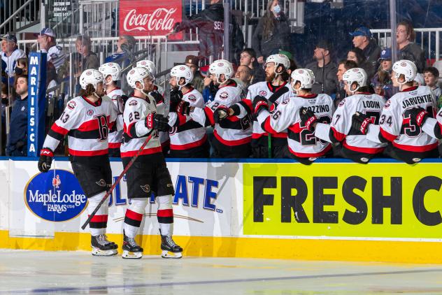 Belleville Senators give high fives along the bench