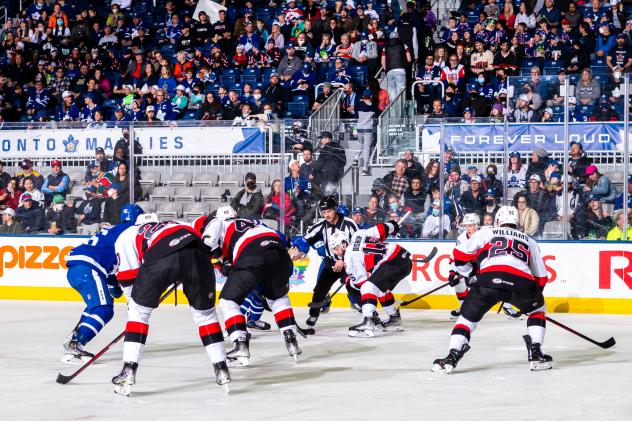 Belleville Senators battle the Toronto Marlies