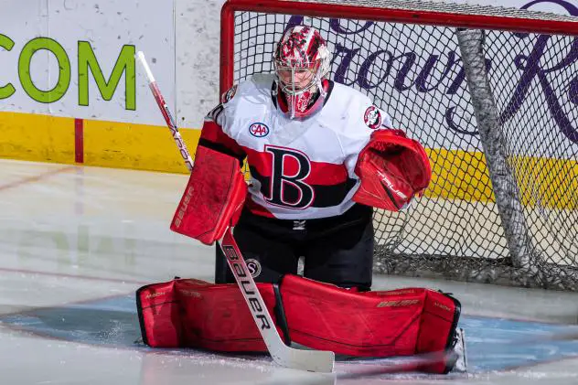 Belleville Senators goaltender Filip Gustavsson