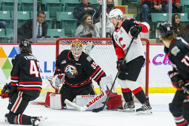 Prince George Cougars at the Portland Winterhawks goal