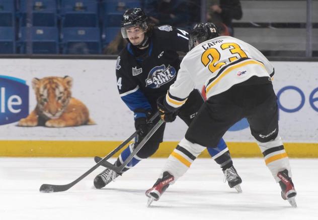Saint John Sea Dogs centre Ryan Francis vs. the Cape Breton Eagles
