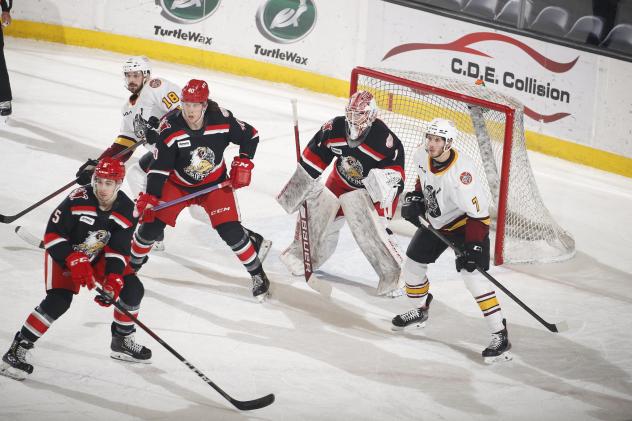 Grand Rapids Griffins defend against the Chicago Wolves