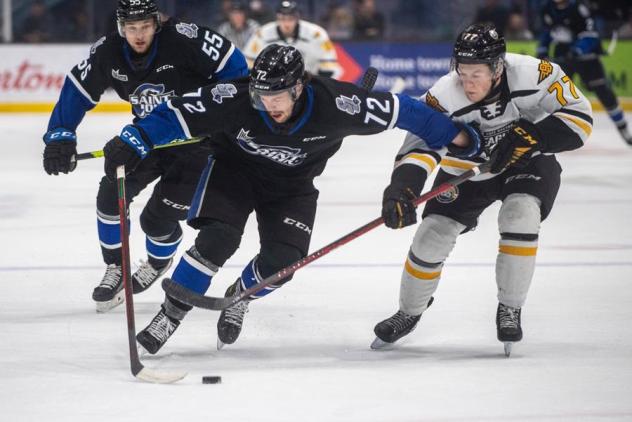 Saint John Sea Dogs left wing Olivier Picard vs. the Cape Breton Eagles