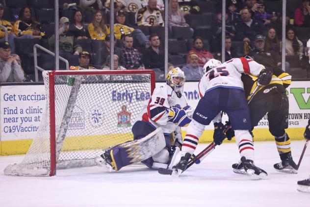 Springfield Thunderbirds goaltender Charlie Lindgren vs. the Providence Bruins
