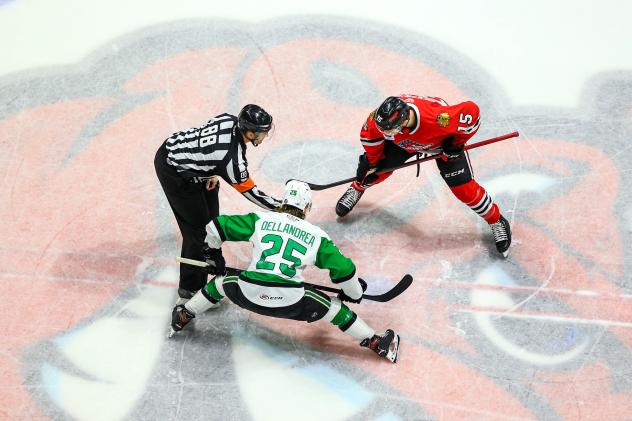 Texas Stars face off with the Rockford IceHogs